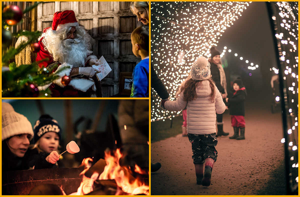 Christmas activities at Cotswold Farm Park